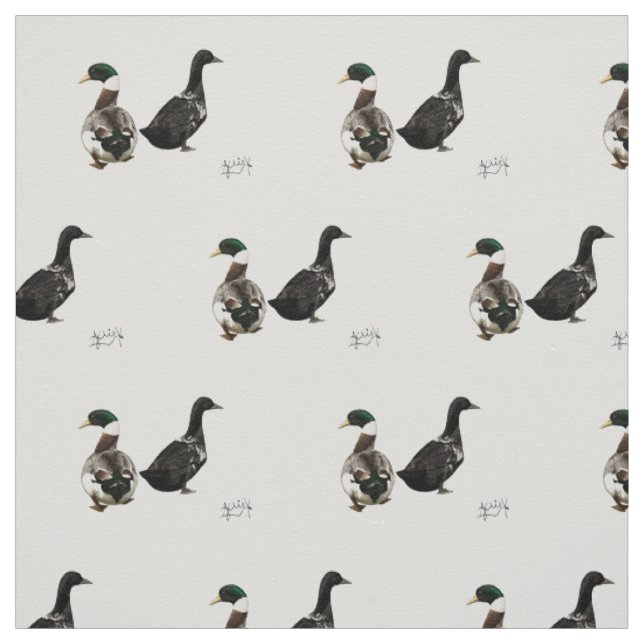 Stargazer Drake and his Lady Duck fabric - white (Swatch)