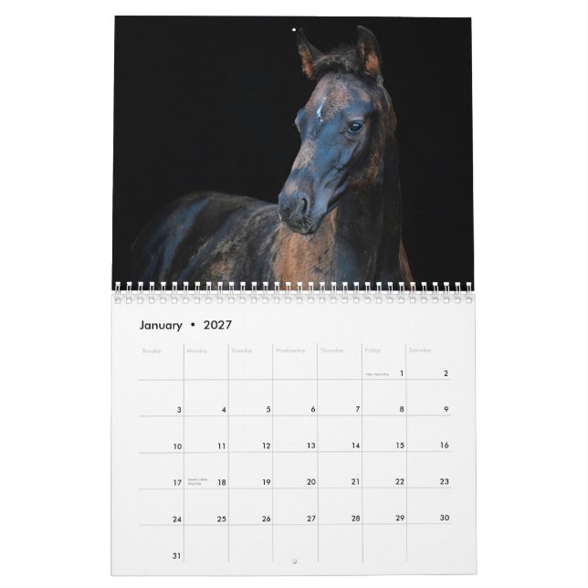 Stargazer Farm Horses Calendar (Jan 2027)