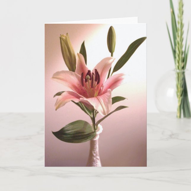 Stargazer Greeting Card (Front)