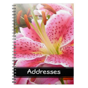 "Stargazer" Lilies Address Notebook