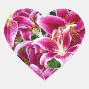 Stargazer Lilies Heart Sticker