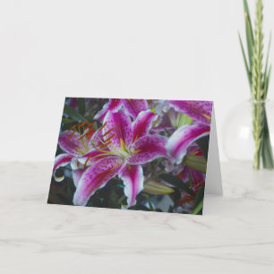 Stargazer Lilies Pink & Magenta Card
