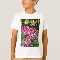 Stargazer Lilies
