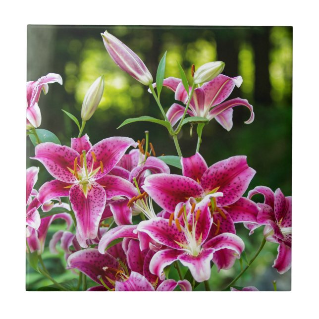 Stargazer Lilies Tile (Front)