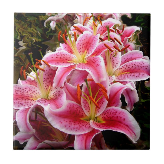 "Stargazer" Lilies Tile (Front)