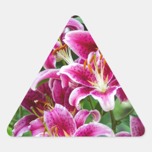 Stargazer Lilies Triangle Sticker