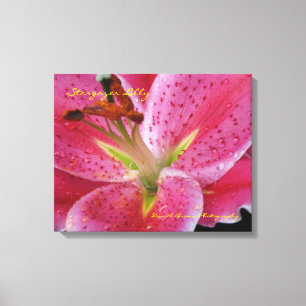 Stargazer Lilly Wrapped Canvas