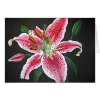 Stargazer lily