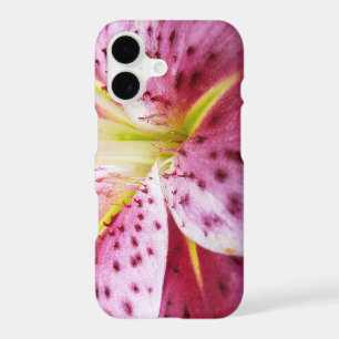 Stargazer Lily Bright Magenta Floral
