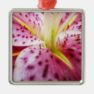 Stargazer Lily Bright Magenta Floral Metal Tree Decoration