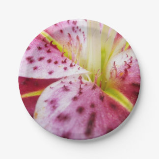 Stargazer Lily Bright Magenta Floral Paper Plate