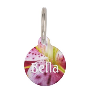 Stargazer Lily Bright Magenta Floral Pet Tag