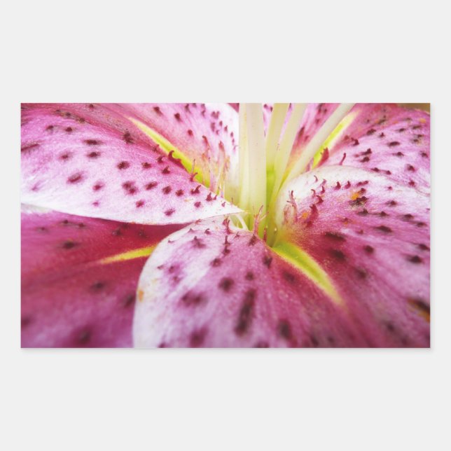 Stargazer Lily Bright Magenta Floral Rectangular Sticker (Front)