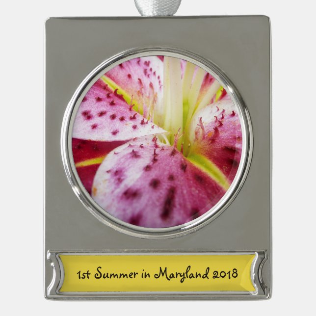 Stargazer Lily Bright Magenta Floral Silver Plated Banner Ornament (Front)