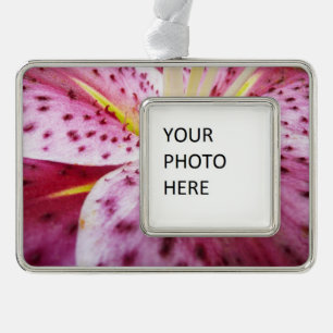 Stargazer Lily Bright Magenta Floral Silver Plated Framed Ornament