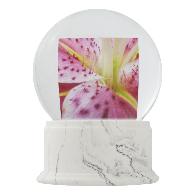 Stargazer Lily Bright Magenta Floral Snow Globe (Front)