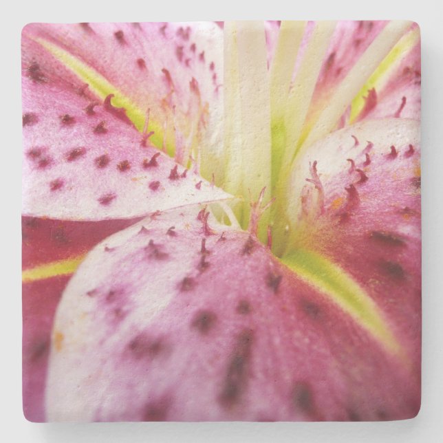 Stargazer Lily Bright Magenta Floral Stone Coaster (Front)