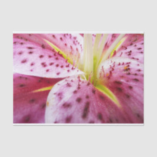 Stargazer Lily Bright Magenta Floral Tissue Paper