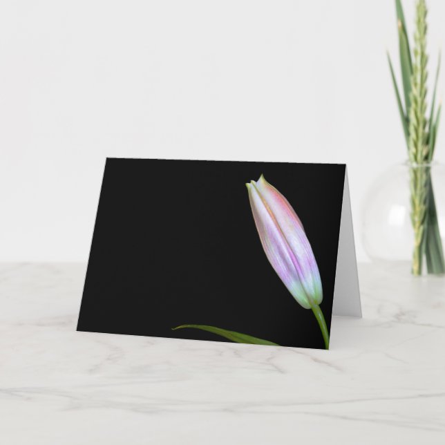 Stargazer Lily Bud Card (Front)