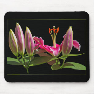 Stargazer Lily Buds and Bloom Mouse Pad