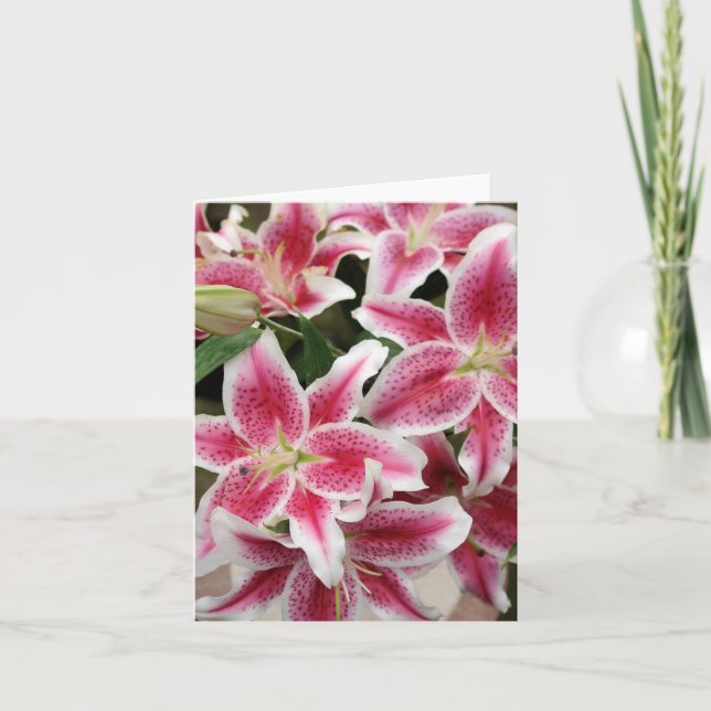 Stargazer Lily Note Card - Blank (Front)