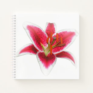 Stargazer Lily Notebook