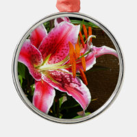 Stargazer Lily Photograph