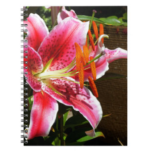 Stargazer Lily Photograph Notebook
