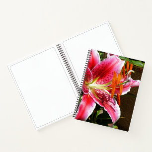 Stargazer Lily Photograph Notebook