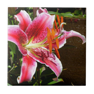 Stargazer Lily Photograph Tile
