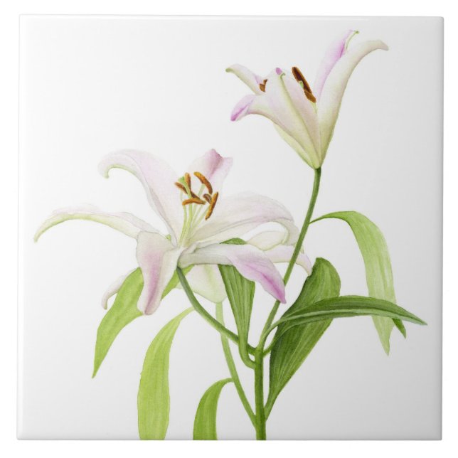 Stargazer Lily Tile (Front)