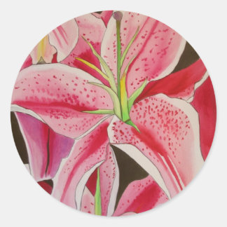 Stargazer pink lily watercolor art flower classic round sticker