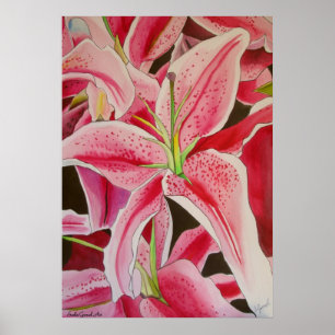 Stargazer pink lily watercolor original art poster