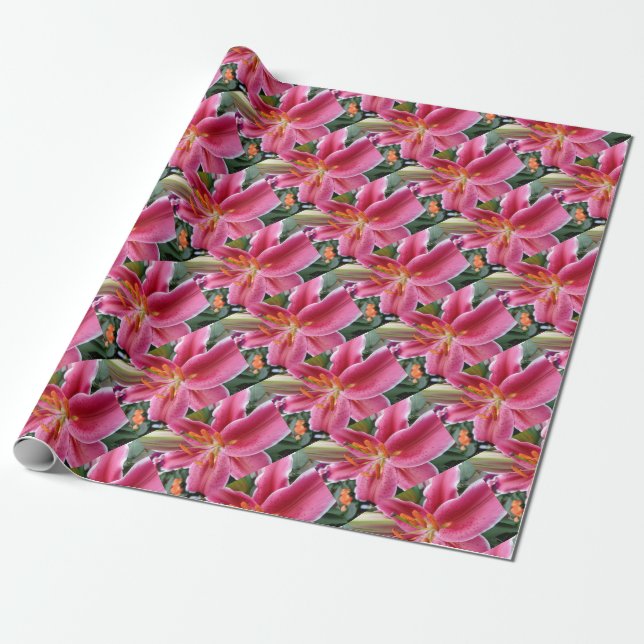 Stargazer Wrapping Paper (Unrolled)