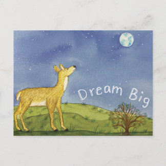 Stargazing Deer Postcard