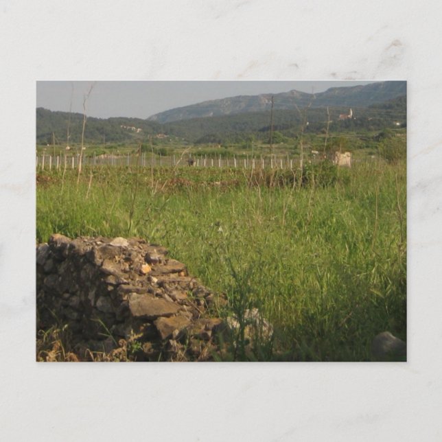 Stari Grad Plain Postcard (Front)