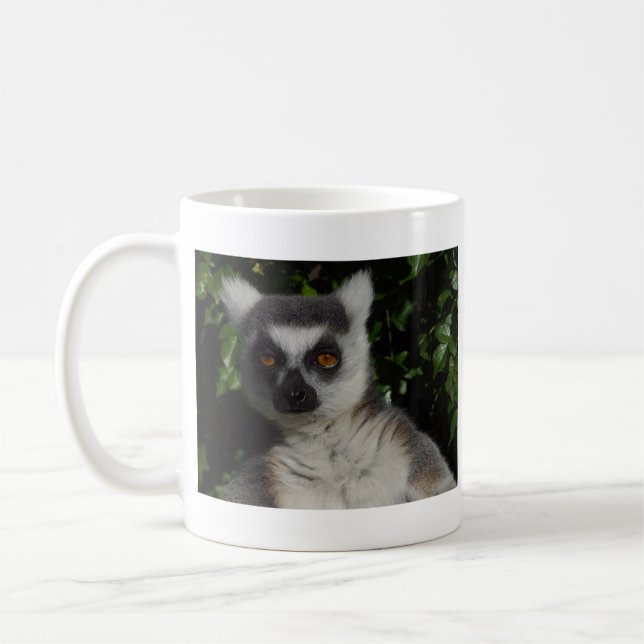 Staring Lemur Coffee Mug (Left)