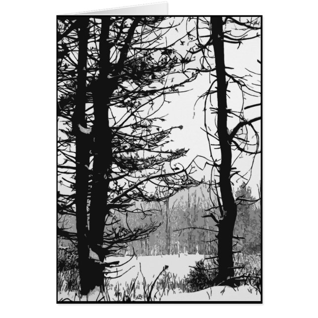 Stark Winter Day (Front)