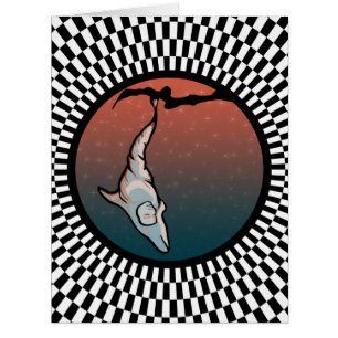 starlight dolphin cocoon