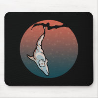 starlight dolphin cocoon