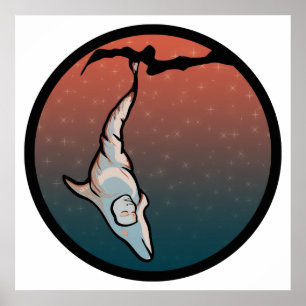 starlight dolphin cocoon poster