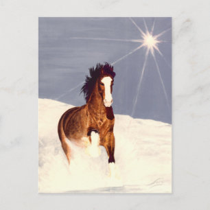 Starlight Run Postcard