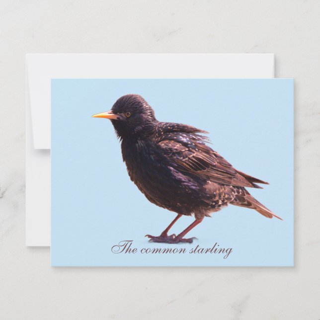 Starling  card (Front)