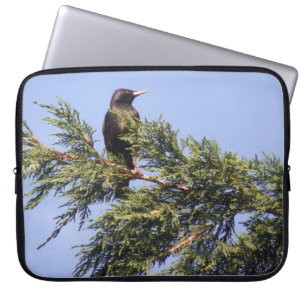 Starling in a Spruce Tree Laptop Bag