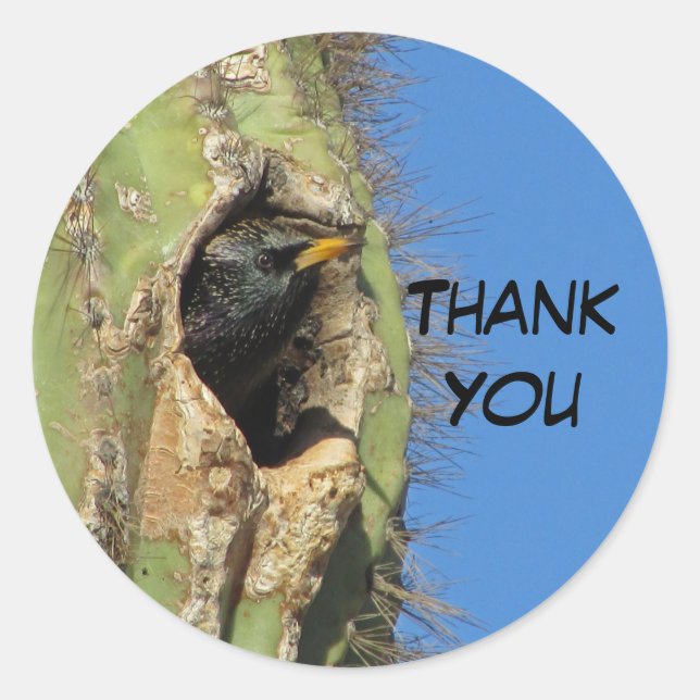 Starling in Saguaro Cactus Photo Southwest Bird Classic Round Sticker (Front)