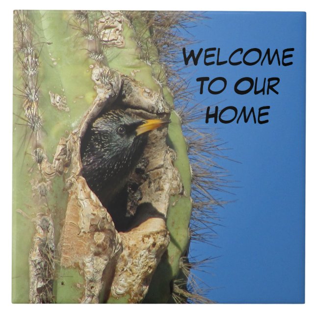 Starling in Saguaro Cactus Photo Southwest Bird Tile (Front)
