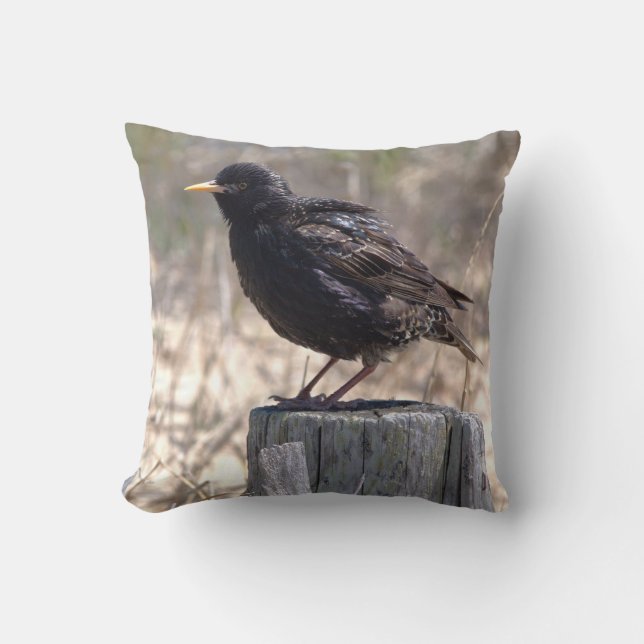 Starling on a Wooden Post Cushion (Front)