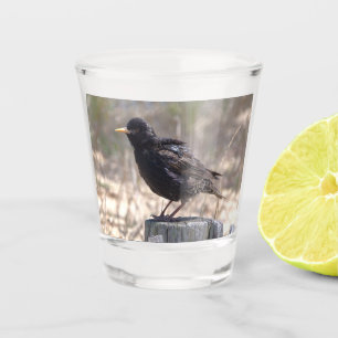 Starling on a Wooden Post Shot Glass
