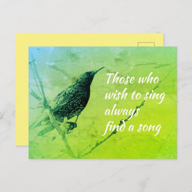 Starling on Tree Branch in May Singing Quote Postcard (Front/Back)