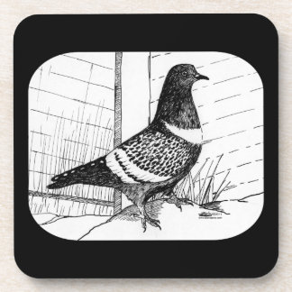 Starling Pigeon 1973 Coaster